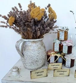 Baghy-Szinyei Merse Kúria