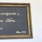 Baghy-Szinyei Merse Kúria Cserkeszőlő - Egyéb