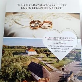 Baghy-Szinyei Merse Kúria, Cserkeszőlő - Egyéb