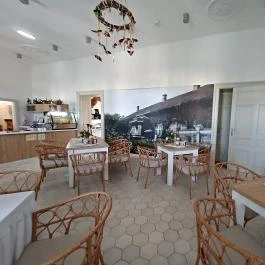 Baghy-Szinyei Merse Kúria, Cserkeszőlő - Egyéb