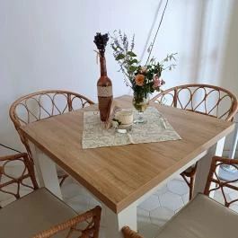 Baghy-Szinyei Merse Kúria, Cserkeszőlő - Egyéb