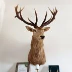 Baghy-Szinyei Merse Kúria Cserkeszőlő - Egyéb