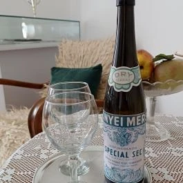 Baghy-Szinyei Merse Kúria, Cserkeszőlő - Egyéb