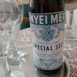 Baghy-Szinyei Merse Kúria, Cserkeszőlő - Egyéb