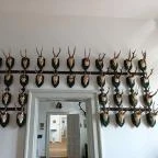 Baghy-Szinyei Merse Kúria Cserkeszőlő - Egyéb