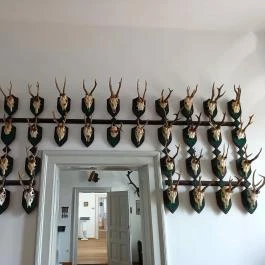 Baghy-Szinyei Merse Kúria, Cserkeszőlő - Egyéb