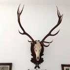 Baghy-Szinyei Merse Kúria Cserkeszőlő - Egyéb