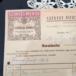 Baghy-Szinyei Merse Kúria, Cserkeszőlő - Egyéb