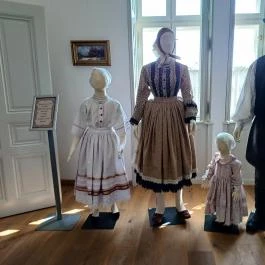 Baghy-Szinyei Merse Kúria, Cserkeszőlő - Egyéb