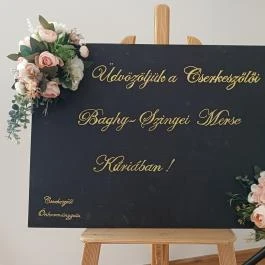 Baghy-Szinyei Merse Kúria, Cserkeszőlő - Egyéb