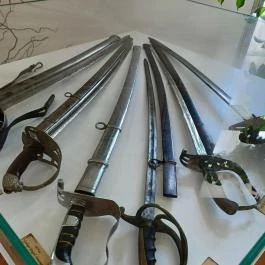 Baghy-Szinyei Merse Kúria, Cserkeszőlő - Egyéb