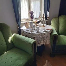 Baghy-Szinyei Merse Kúria, Cserkeszőlő - Egyéb