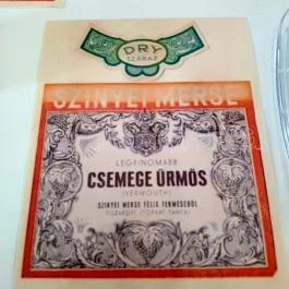 Baghy-Szinyei Merse Kúria, Cserkeszőlő - Egyéb