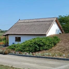 Baghy-Szinyei Merse Kúria, Cserkeszőlő - Egyéb