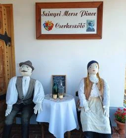 Baghy-Szinyei Merse Kúria