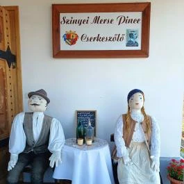 Baghy-Szinyei Merse Kúria, Cserkeszőlő - Egyéb