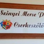 Baghy-Szinyei Merse Kúria Cserkeszőlő - Egyéb
