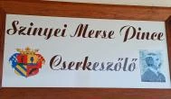 Baghy-Szinyei Merse Kúria Cserkeszőlő - 