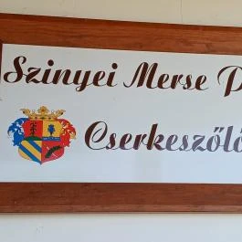 Baghy-Szinyei Merse Kúria, Cserkeszőlő - Egyéb