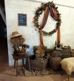 Baghy-Szinyei Merse Kúria