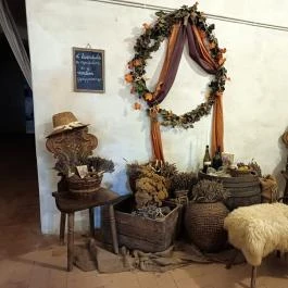 Baghy-Szinyei Merse Kúria, Cserkeszőlő - Egyéb