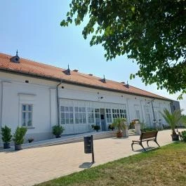 Baghy-Szinyei Merse Kúria Cserkeszőlő - Egyéb