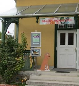 Bálint Ágnes Emlékház