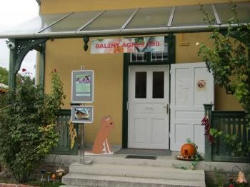 Bálint Ágnes Emlékház Vecsés