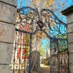 Belgrád Székesegyház Szentendre - Egyéb