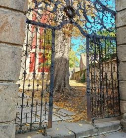 Belgrád Székesegyház