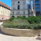 Belvárosi Szent Anna templom Budapest - Egyéb