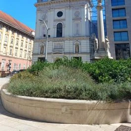 Belvárosi Szent Anna templom, Budapest - Egyéb