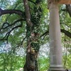 Benczúr Gyula Mauzóleum Szécsény - Egyéb