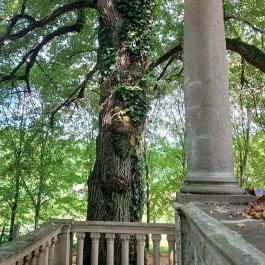 Benczúr Gyula Mauzóleum Szécsény - Egyéb