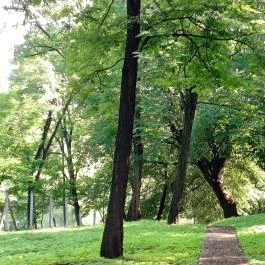 Benczúr Gyula Mauzóleum Szécsény - Egyéb