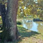 Berek Halászkert Bajánsenye - Egyéb