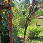 Berek Halászkert Bajánsenye - Egyéb