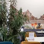 Black Cat Cafe Szolnok - Egyéb