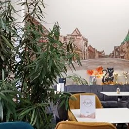 Black Cat Cafe, Szolnok - Egyéb