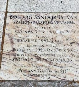 Boldog Sándor István szalézi vértanú