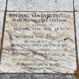 Boldog Sándor István szalézi vértanú, Szolnok - Egyéb