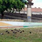 Borárus-szoborkompozíció Budapest - Egyéb