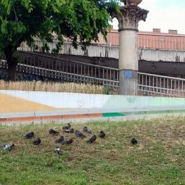 Borárus-szoborkompozíció, Budapest - Egyéb