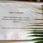 Bordűr Szőnyegmúzeum Békésszentandrás - Belső