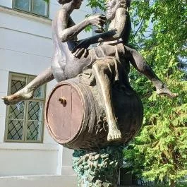 Borkút, Szekszárd - Egyéb