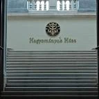 Budai Vigadó Budapest - Egyéb