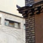 Budapesti Unitárius Templom Budapest - Belső
