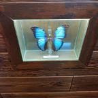 Buffalo Bill Western Étterem Szerencs - Egyéb