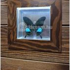 Buffalo Bill Western Étterem Szerencs - Egyéb