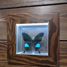 Buffalo Bill Western Étterem , Szerencs - Egyéb